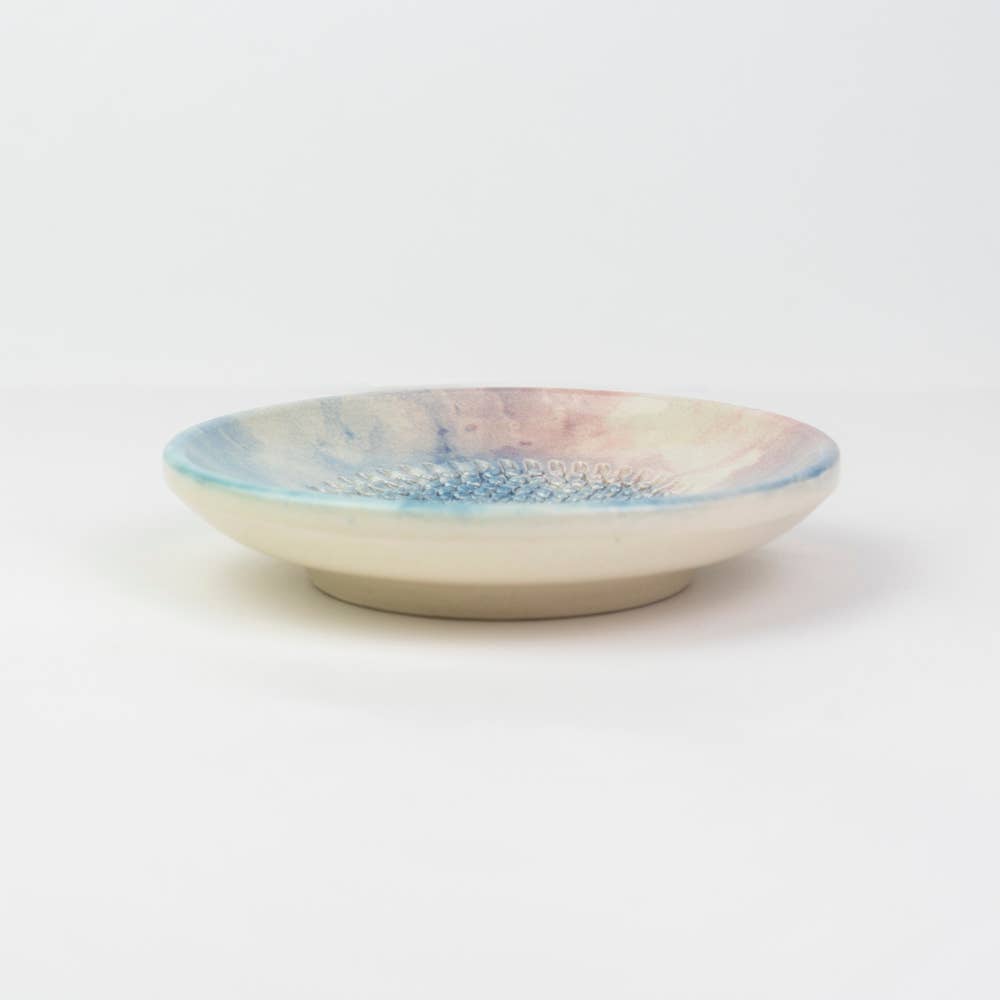 Flerfarvet keramisk tallerkenriver, Lille