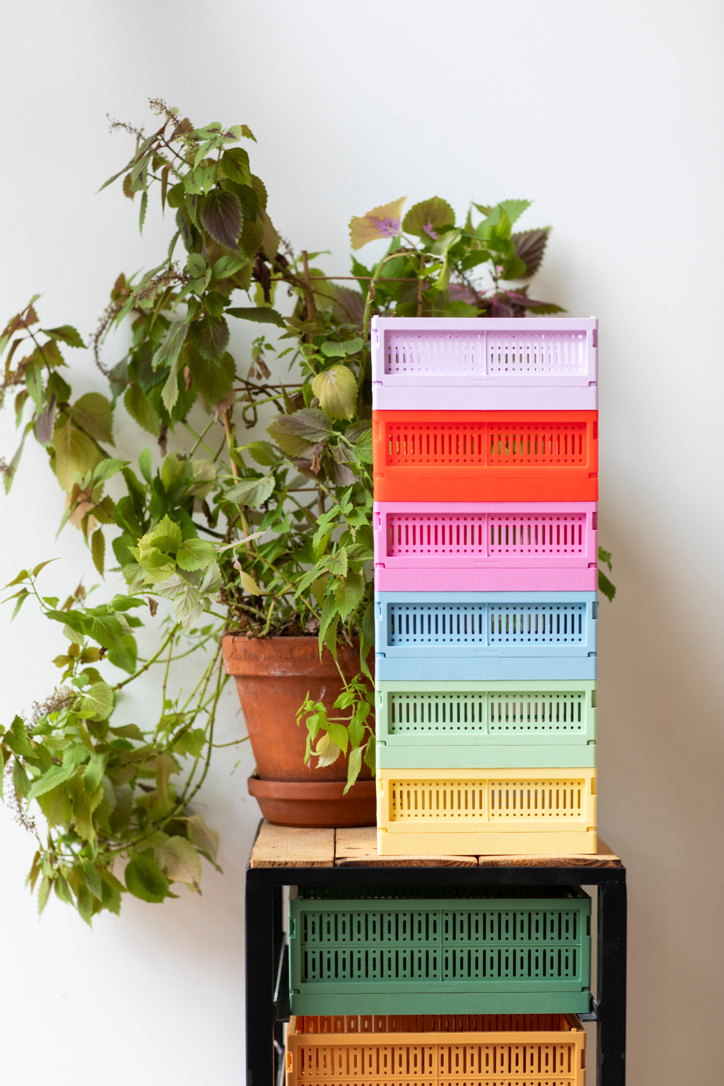 Mini opbevaringskasser